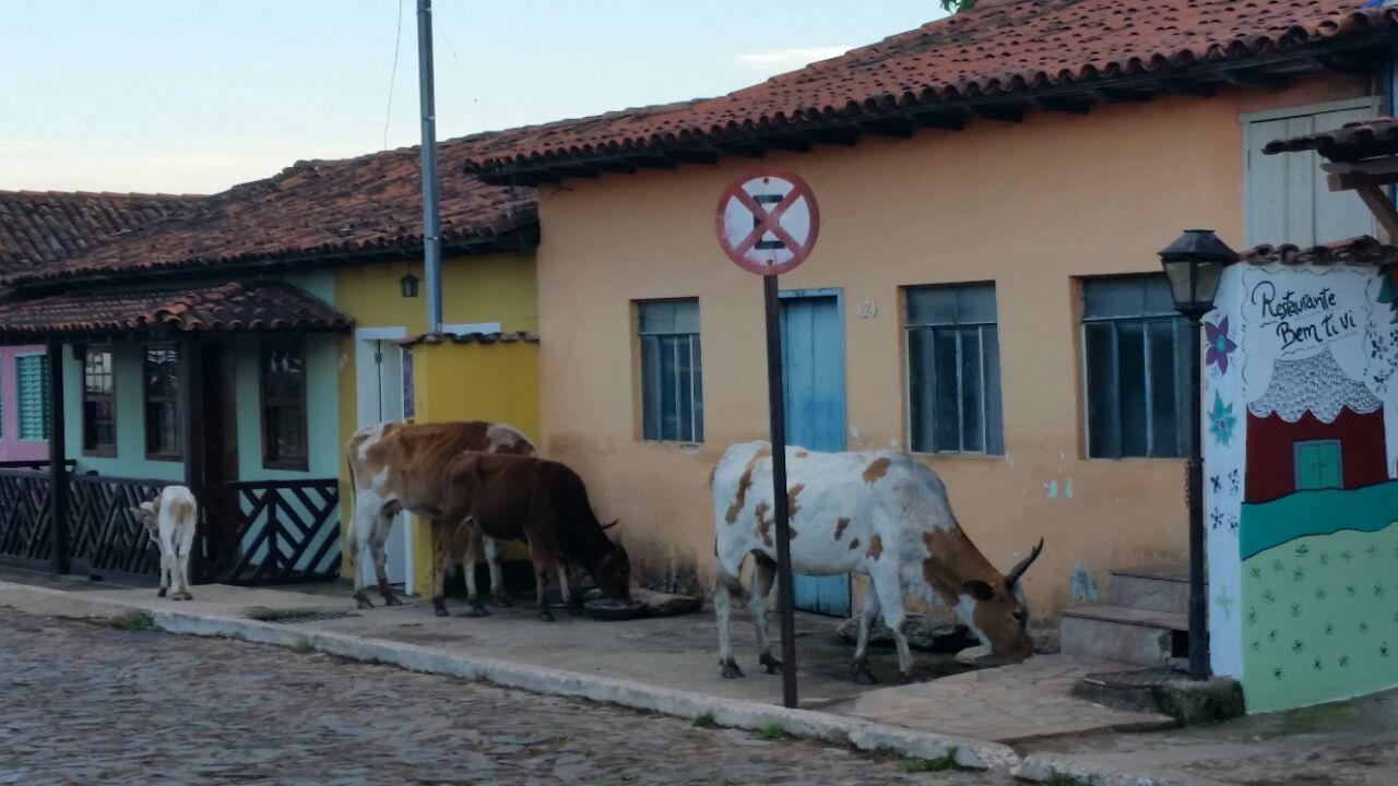 Chales Das Andorinhas Lavras Novas Exterior foto